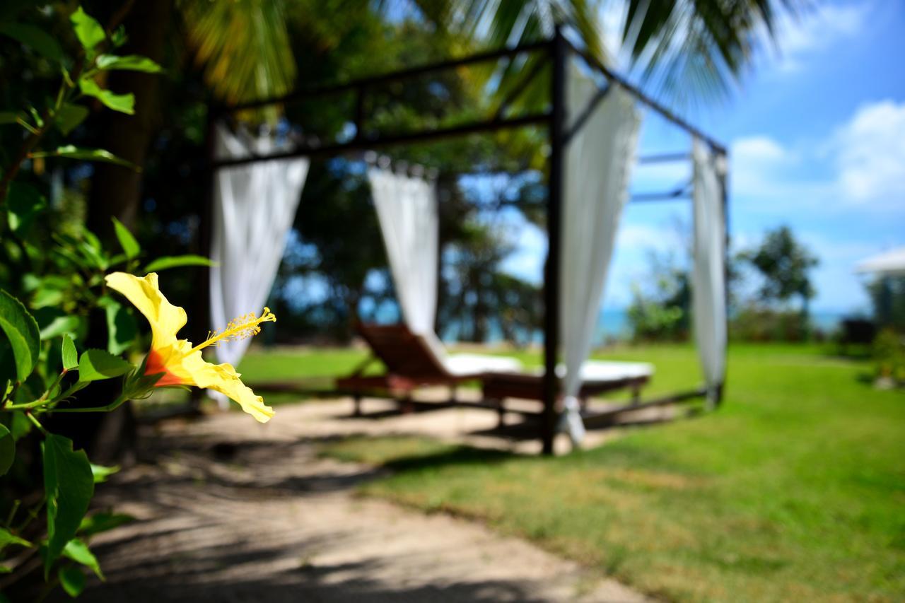 Pousada Enseada Dos Golfinhos Praia de Pipa Екстер'єр фото